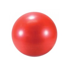 LEDRAPLASTIC Lopta Body ball 55